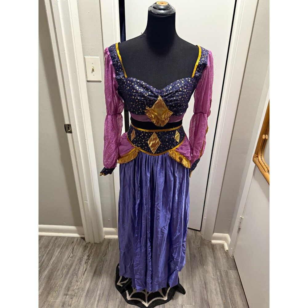 Rubie's Halloween Gypsy Costume Purple/Gold Polyester Fits Up to 14/16 Hand Wash